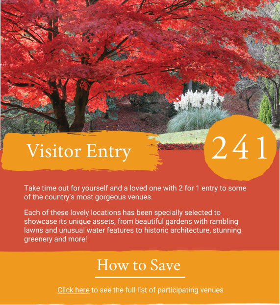 241 Visitor entry